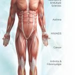LUXURY_Know Your Cannabinioids.pdf